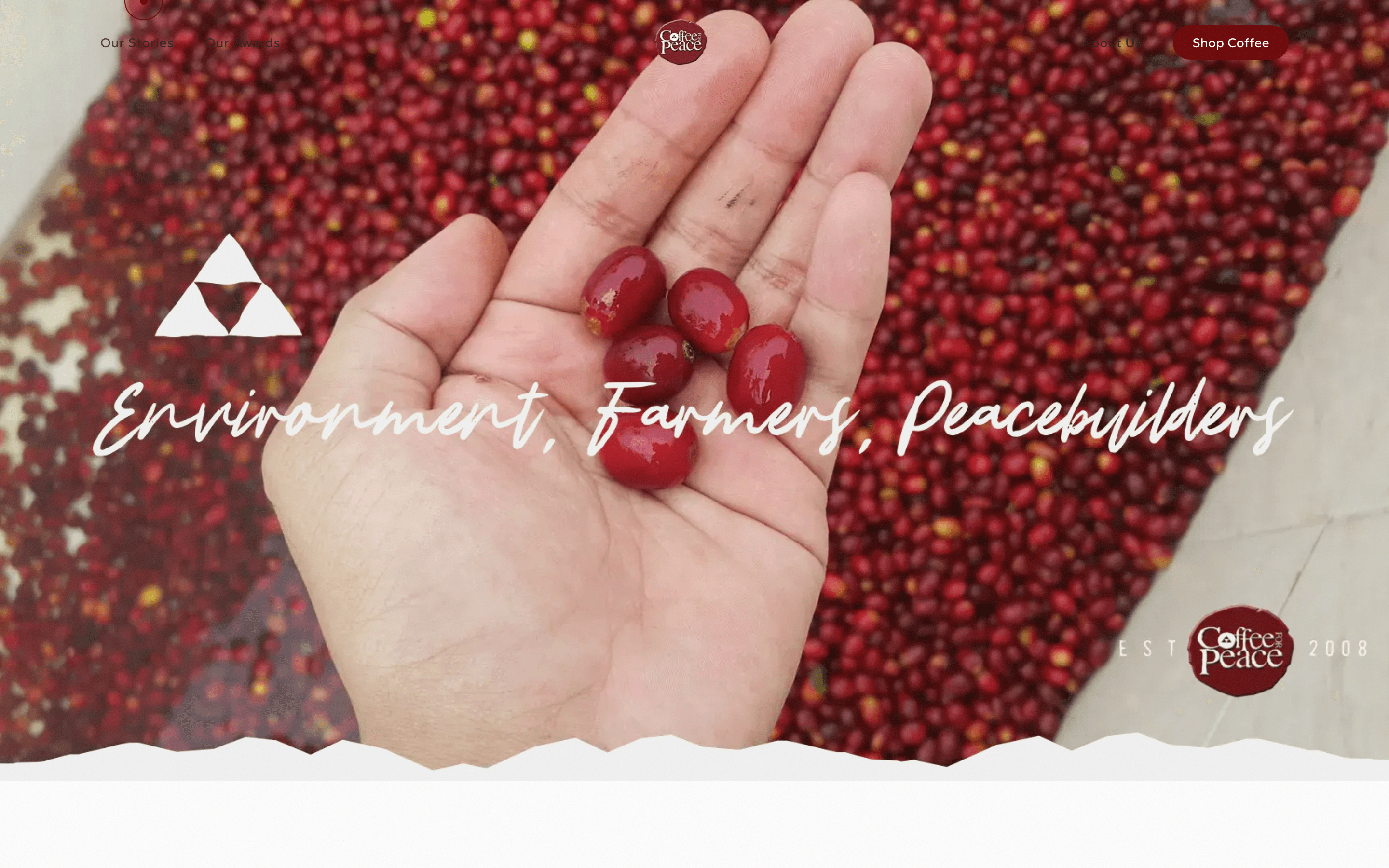 Coffee for Peace — headless WordPress site screenshot